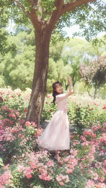 黄瓜视频在线观看