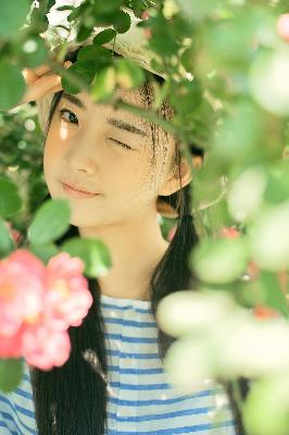 樱花动漫官网官方入门网站入口